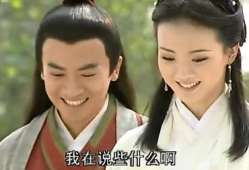 苏有朋的电视剧,苏有朋演绎的“五阿哥”传奇